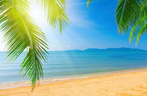 пляж, песок, пальмы, море, солнце, горизонт