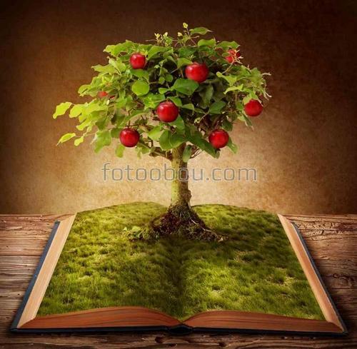 природа, дерево, яблоня, книга, сказка