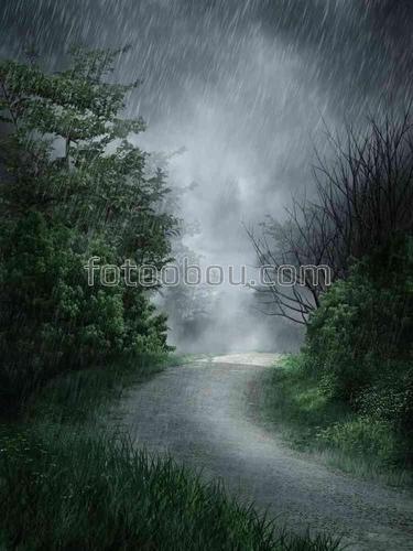 ливень, дождь, гроза, дорога, лес, природа