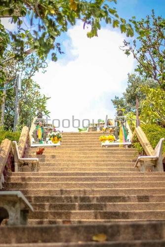 сад, пак, природа, лестница, ступени