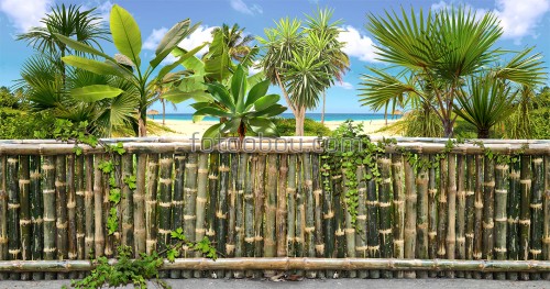 пляж, пальмы, море, песок, забор, бамбук