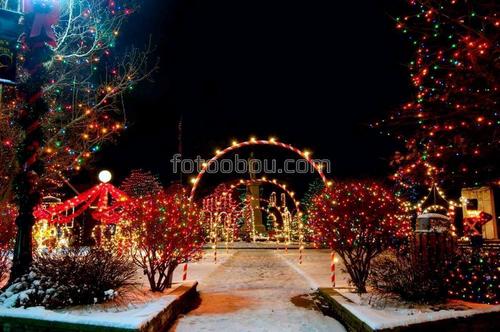 сад, парк, огни, зима, ночь