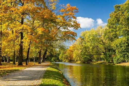 парк, аллея, река, осень