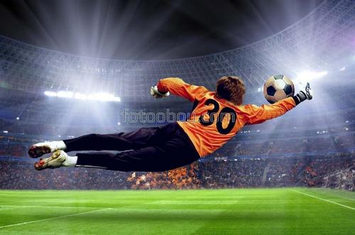 футбол, спорт, гол, вратарь, стадион