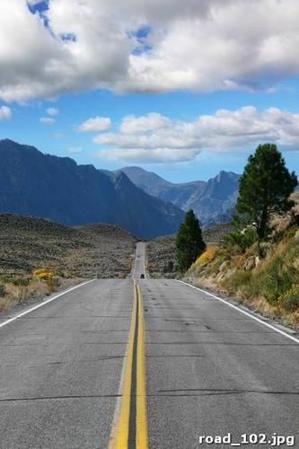 Прямая, трава, деревья, небо, облака