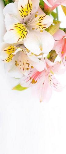 цветы, белые, желтые, лилии, букет