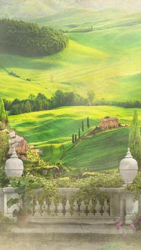 природа, поле, терраса, лес, домик, трава