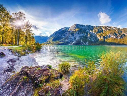 природа, горы, озеро, лес