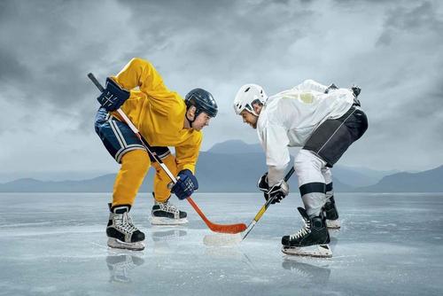 спорт, хоккей, лед