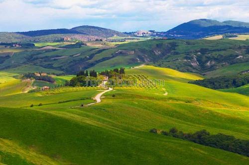 природа, поля, луга, трава