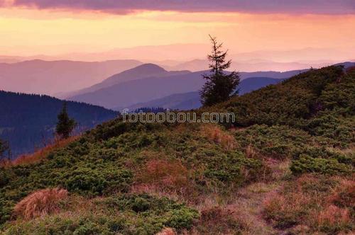 рассвет, горы, природа, небо, лес