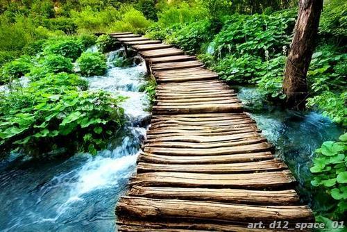 мостик, водопад, лес, деревья, трава