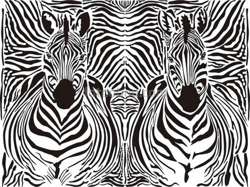 зебры, животные, природа
