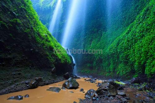 природа, водопад, индонезия, листья, река, камни