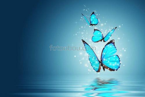 природа, животные, бабочки, вода, ночь