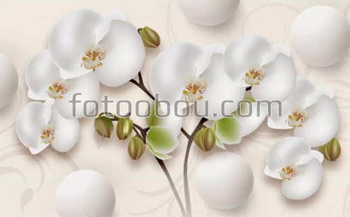 белые орхидеи, цветы, шары, 3д, 3d, на стену, стена, дизайнерские