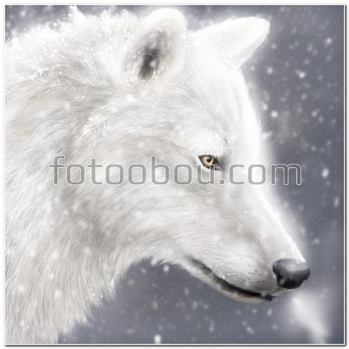 животные, волк, белый волк, зима, снег