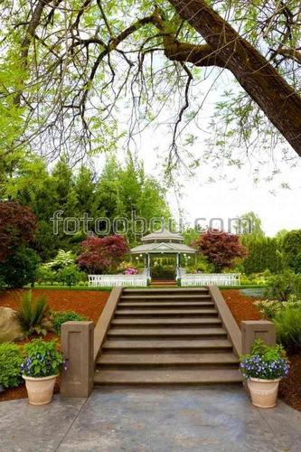 беседка, парк, сад, природа, свадьба