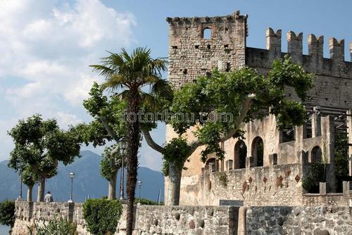 замки, развалины, крепость, природа, пальмы