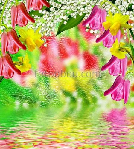 цветы, природа, нарциссы, тюльпаны, вода