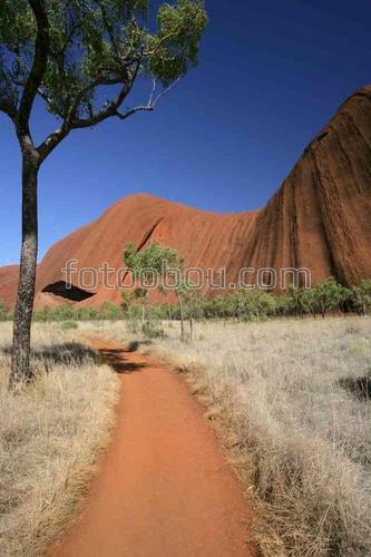 природа, дорога, пустыня, горы, деревья