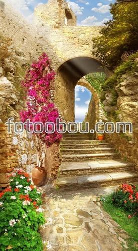 сад, дворик, природа, цветы, арки