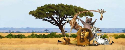 мадагаскар, для детей, мультфильм