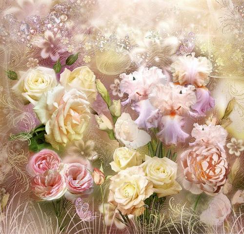 цветы, розы, гладиолус