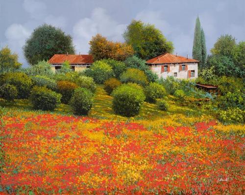 домики, поле, цветы, природа