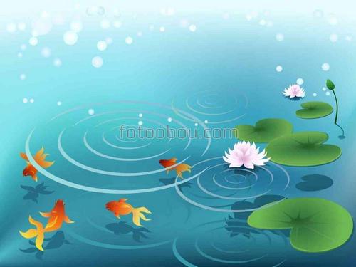 природа, пруд, вода, озеро, кувшинки, детские