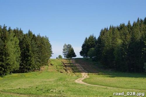 дорога, лес, трава, небо