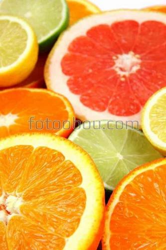 цитрус, натюрморт, фрукты, природа