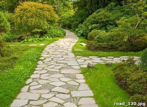 тропинка, парк, трава, кусты, зеленый