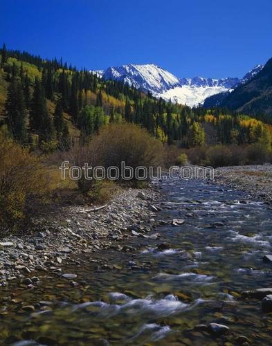 река, горы, трава, деревья, небо