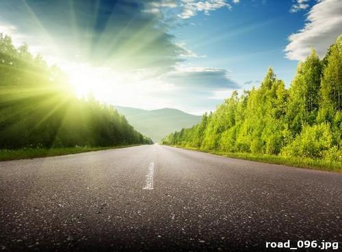 дорога, лес, деревья, лето, зелень, природа