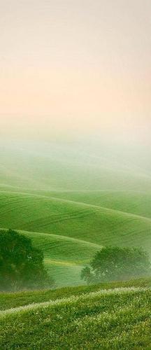 поле ,небо ,облака ,трава ,зелень ,сено