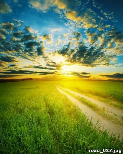дорога, трава, солнце, облака