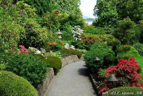 Ботанический, сад, тропинка, трава, кустарники, цветы