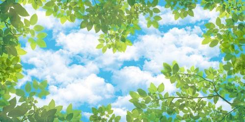 листья, облака, природа, небо, ветки