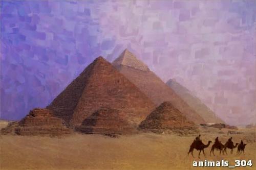 пирамида, египет, гиза, пустыня, песок