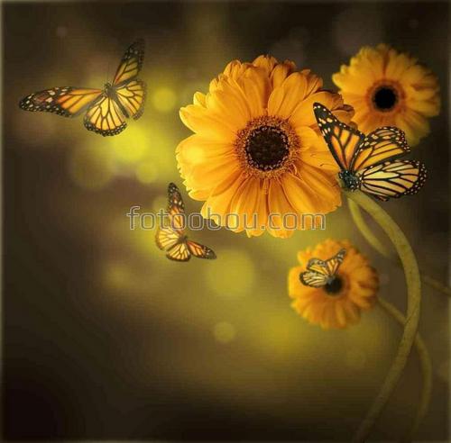 бабочки, цветы, природа, лепестки