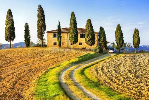 тоскана, италия, поле, домик, природа