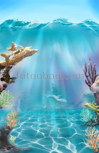 под водой, дно, море, кораллы, водоросли