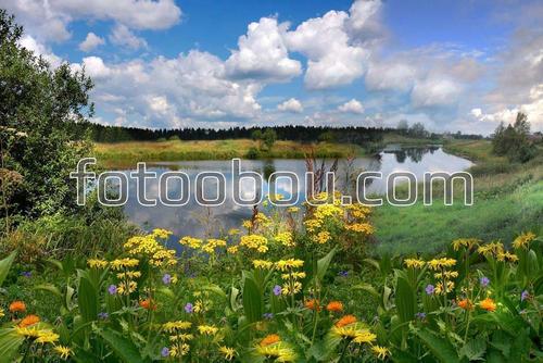 река, поле, трава, цветы, лес, облака, природа