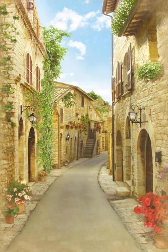 мостовая, старый город, улица, цветы