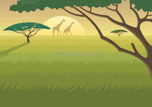 африка, ландшафт, жираф, сафари, природа