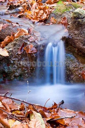 ручей, водопад, природа, осень, листья