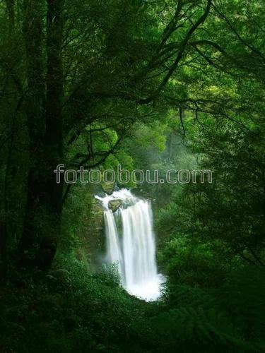 природа, тропики, лес, водопад