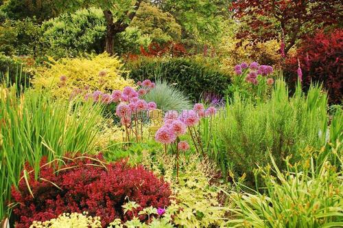 природа, сад, парк, трава, озеро