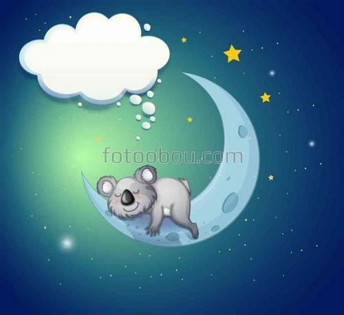 медведь, коала, животные, луна, месяц, ночь